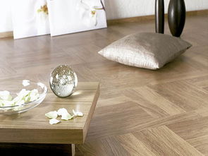 2012年中國竹地板十大品牌盤點 綠色家居新風尚